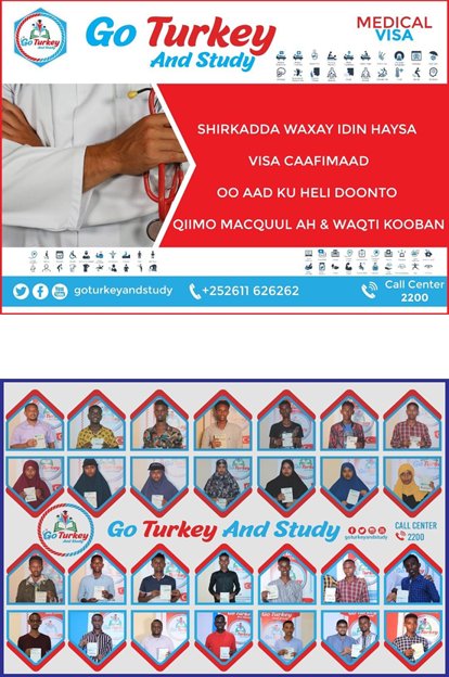 The first piece is an advertisment for Turkish student and medical visas by a private tour operator.There is no evidence that "Go Turkey And Study" is linked to NGOs. Such private services offering visa assistance are widespread throughout the world. 2/8