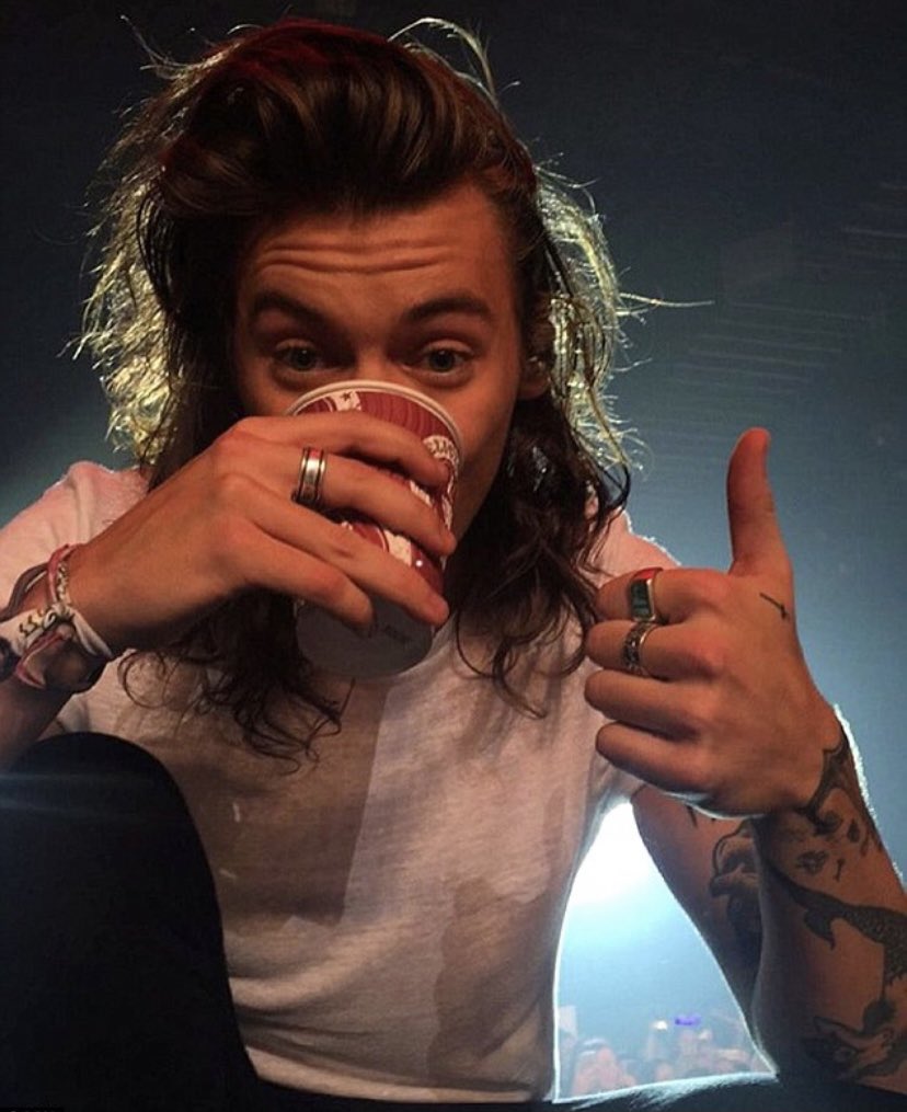 harry styles as puppies; a thread 