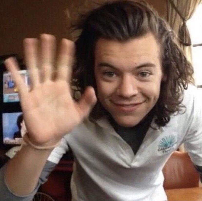 harry styles as puppies; a thread 