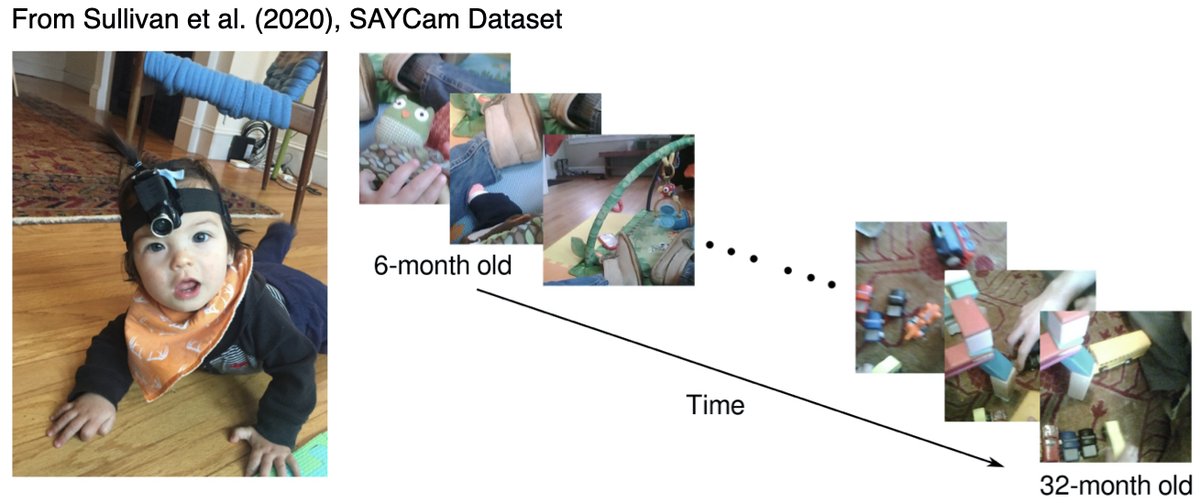 LakeBrenden's tweet photo. We train a self-supervised net "through the eyes" of one baby across 2 years of development. At #NeurIPS2020, Emin Orhan shows how high-level visual representations emerge.

Paper &amp; pre-trained net
https://t.co/mdcWdG2E0L

Poster Thurs Noon EST
https://t.co/2dCvq8u4hu https://t.co/fYR8tMjvEE