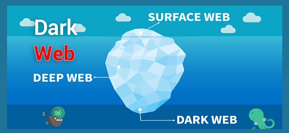 Discover the Secrets of Alpha Market Darknet!