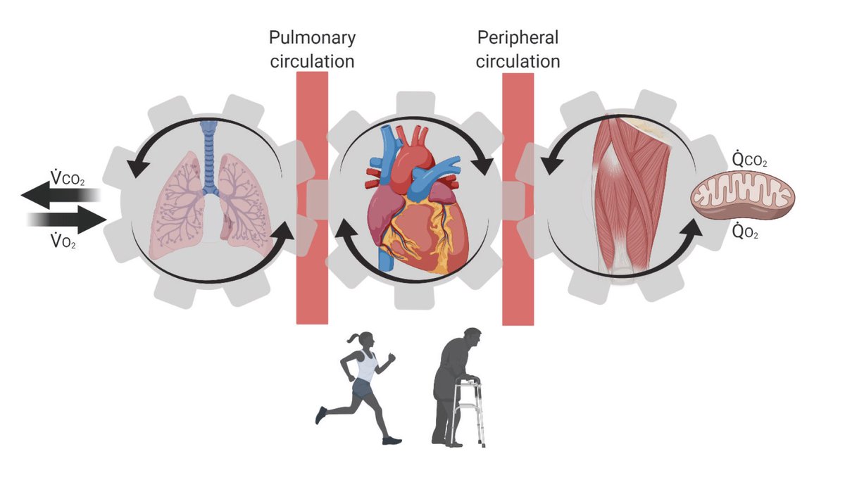 CPAHD Brunel tweet media