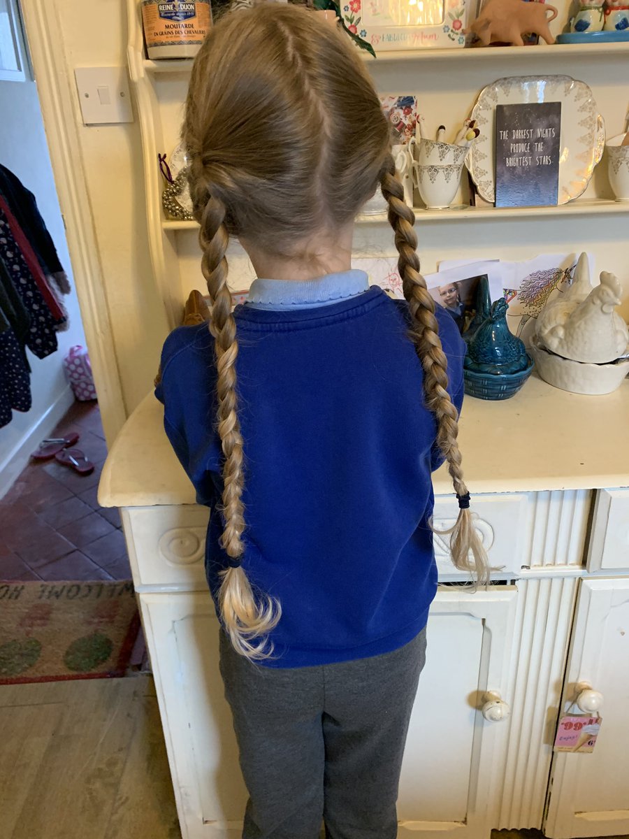 travelkat's tweet photo. October brought the longest plaits in the world, proof that cats will sit in any box and giving back to the community by volunteering to be litter pickers. #StreetChampions https://t.co/m8CVOVBDyP
