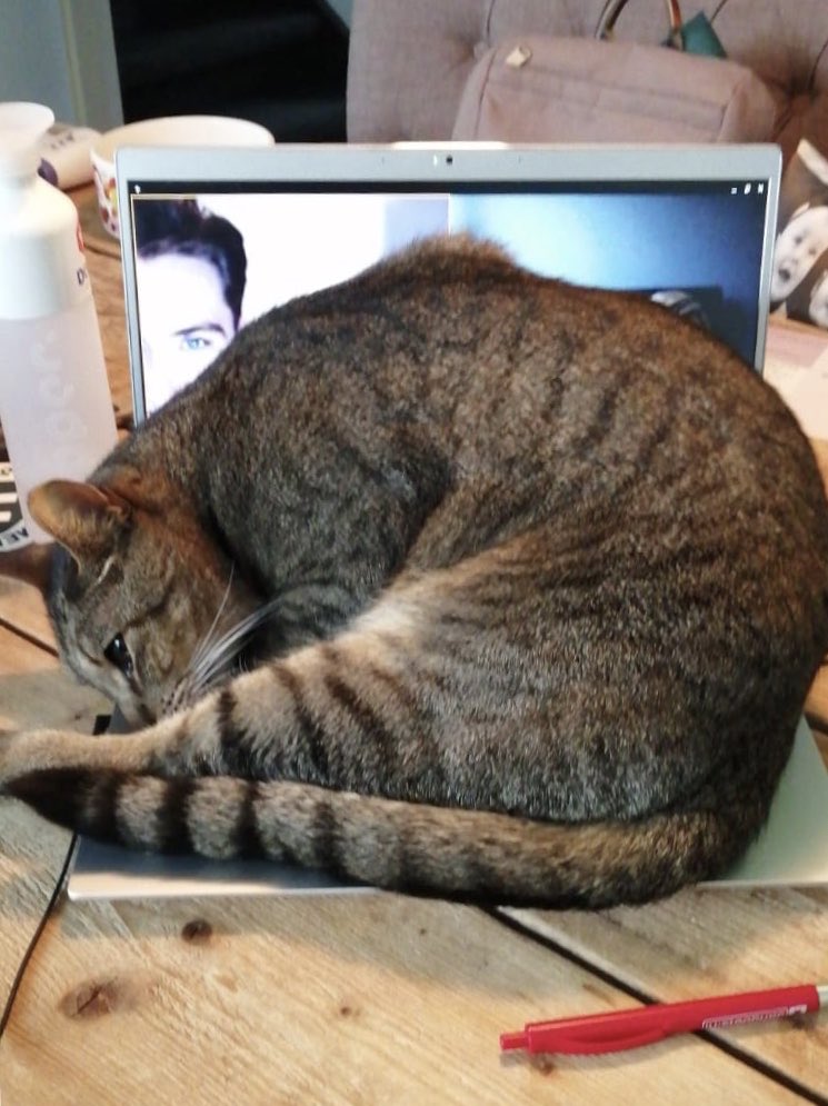 buddybold's tweet image. Het team van @moose_agency en @buddybold in overleg voor de ontwikkeling van een nieuw online platform om senioren en jongeren aan elkaar te verbinden.