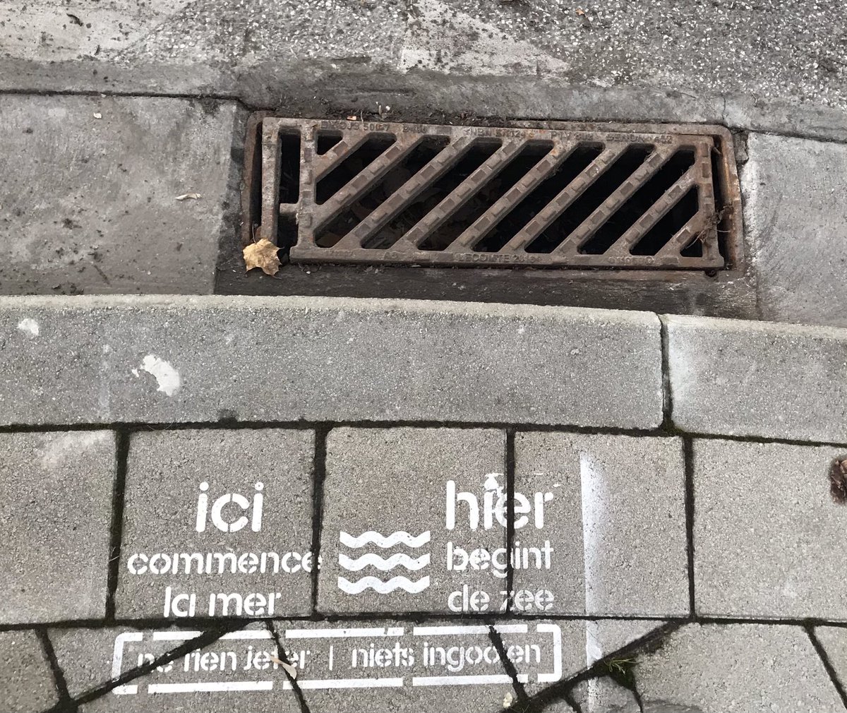 BirdingBrussels's tweet photo. 🌊 Ici commence la mer... hier begint de zee... point de départ vers le #VendeeGlobe ? 😊
#ProtectWaters #SaveOurOceans #Sea #BruxellesMaBelle #bethechange #environnement https://t.co/0MZggSt76K