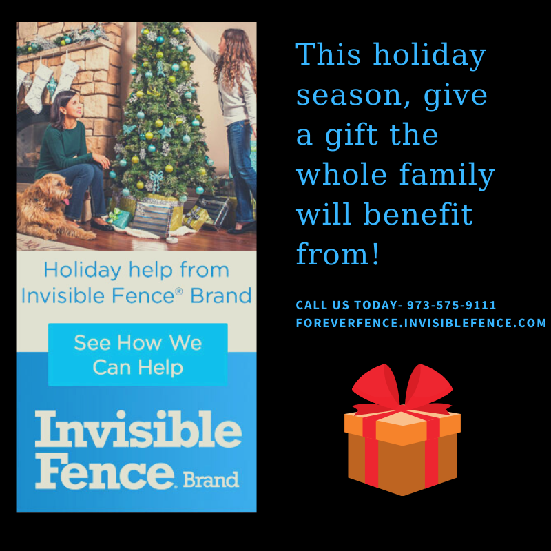 InvisibleByFF's tweet photo. Wrap up 2020 with the perfect present under your tree. Our Shields Plus Solution can be installed just about anywhere, protecting your pet anywhere in your home. To learn more, call Emilio- 973-575-9111.  #InvisibleFencebyForeverFence #Holiday #BackyardSolutions #TheGoalGroupofNJ https://t.co/MXGD4o4mZ2
