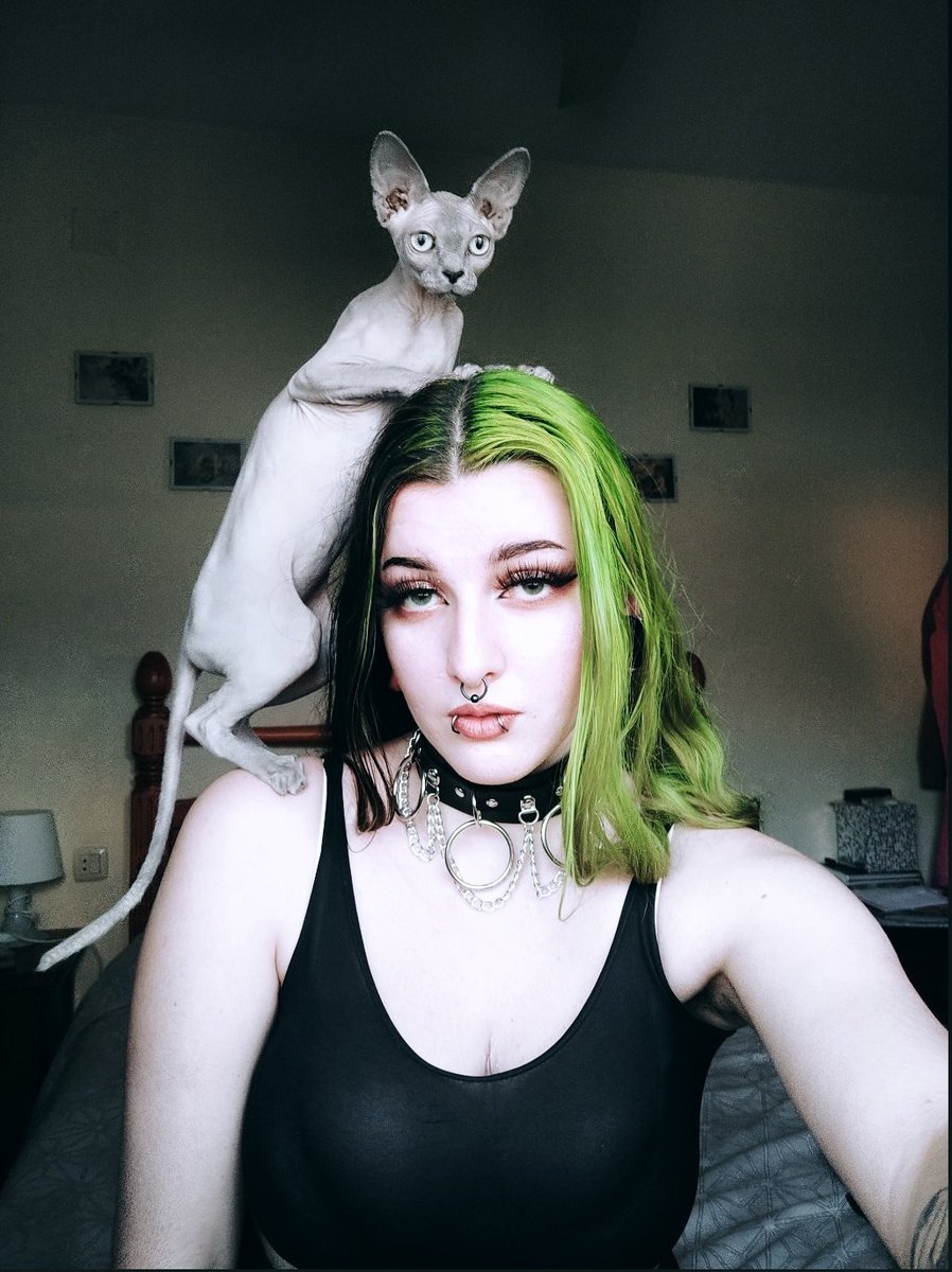 🕸️elesa🕷️ tweet media