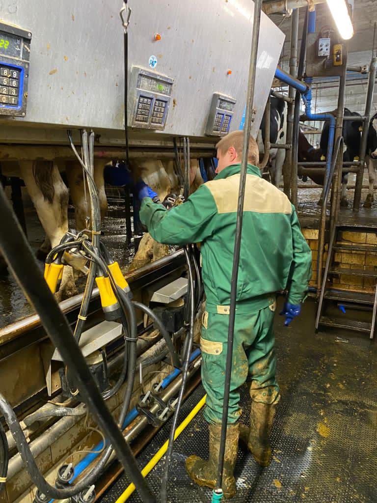 🚨 System Install 🚨

Air Sanicleanse TeatScrubber 

Country- Germany 
Parlour - Double 20
Herd size - 850
Milkings per day - x 3

Reduce labour 💪🏼
Reduce time ⏰ 
Reduce costs 💰 
Improve teat and udder health 💉

Happy Cows 🐮 = Happy Farmers 👩‍🌾