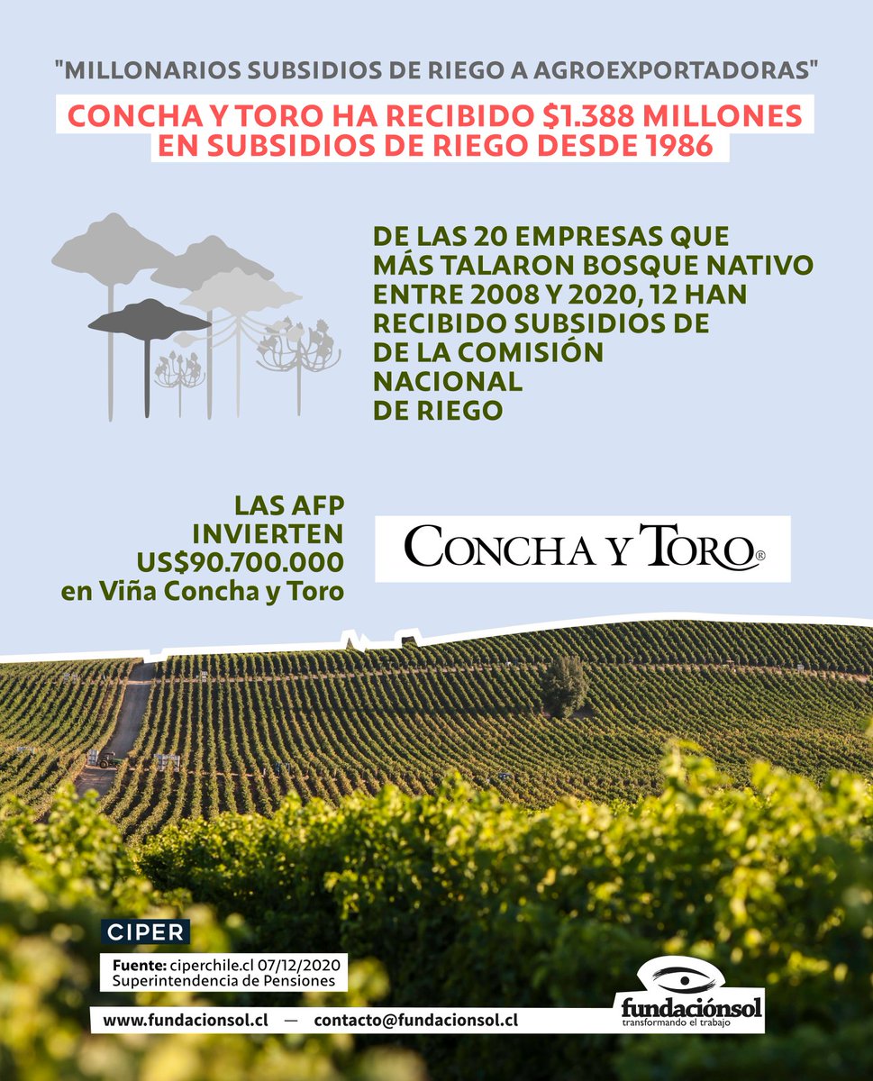 lafundacionsol's tweet photo. [¿Sabías qué?] De las 20 empresas que más han talado bosque nativo entre 2008/2020, 12 han recibido cuantiosos subsidios de la Comisión Nacional de Riego.Concha y Toro recibió $1.388 millones en subsidios de Riego (además, recibe inversiones de las AFP por más de US$90 millones) https://t.co/olo21fO40p