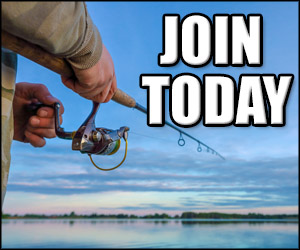 Fish4FirstResp's tweet image. Open Enrolment for First Responders Only
Are you a First Responder looking to get some time away to decompress. 
We are a Non Profit fishing group For First Responders Only
Contact us via 
Facebook
facebook.com/fishing4firstr… 
or send an Email to fishing4firstresponders@gmail.com