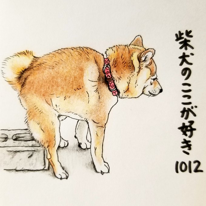 柴犬 高画質 のtwitterイラスト検索結果 古い順