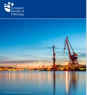 ro36693000's tweet photo. 32 ECP & XXXIII Int Congress of The IAP
ThanK you for 3 days full of excellent scientific lectures, you can see the content of the virtual congress over the next 3 months
#virtualpathology2020
see you soon in Gothenburg :))))))) https://t.co/h6pf5MfcIB