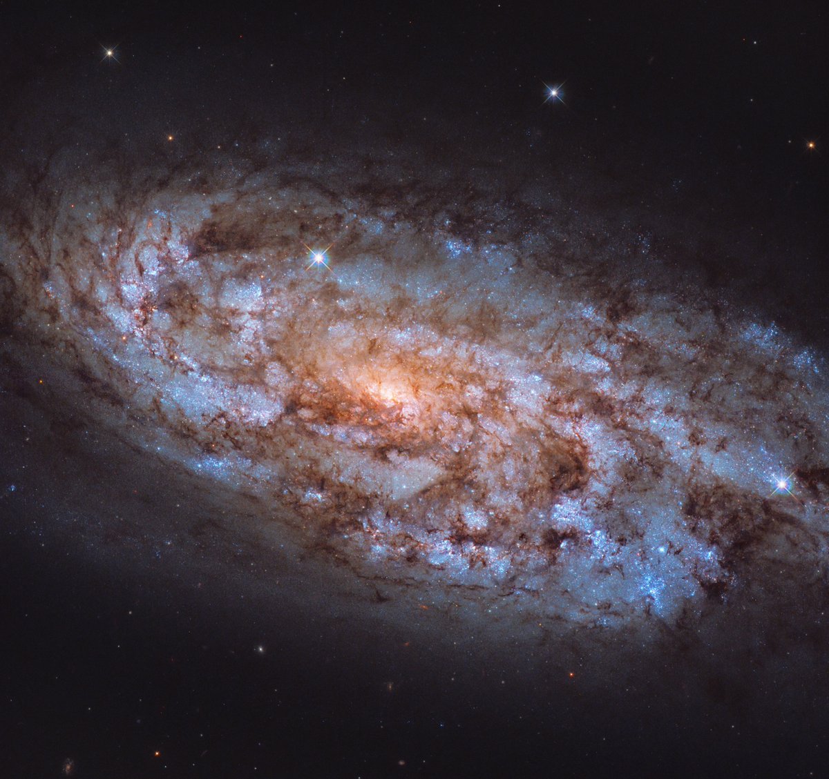 The spiral galaxy NGC 1792, about 36 million light years away in the constellation Columba, is in a period of "starburst" where stars are forming at a rapid rate.Credit: ESA/Hubble & NASA, J. LeeAcknowledgement: Leo Shatz
