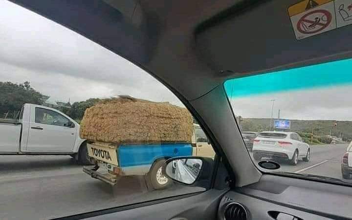 Somebody check akho Kwid apha........