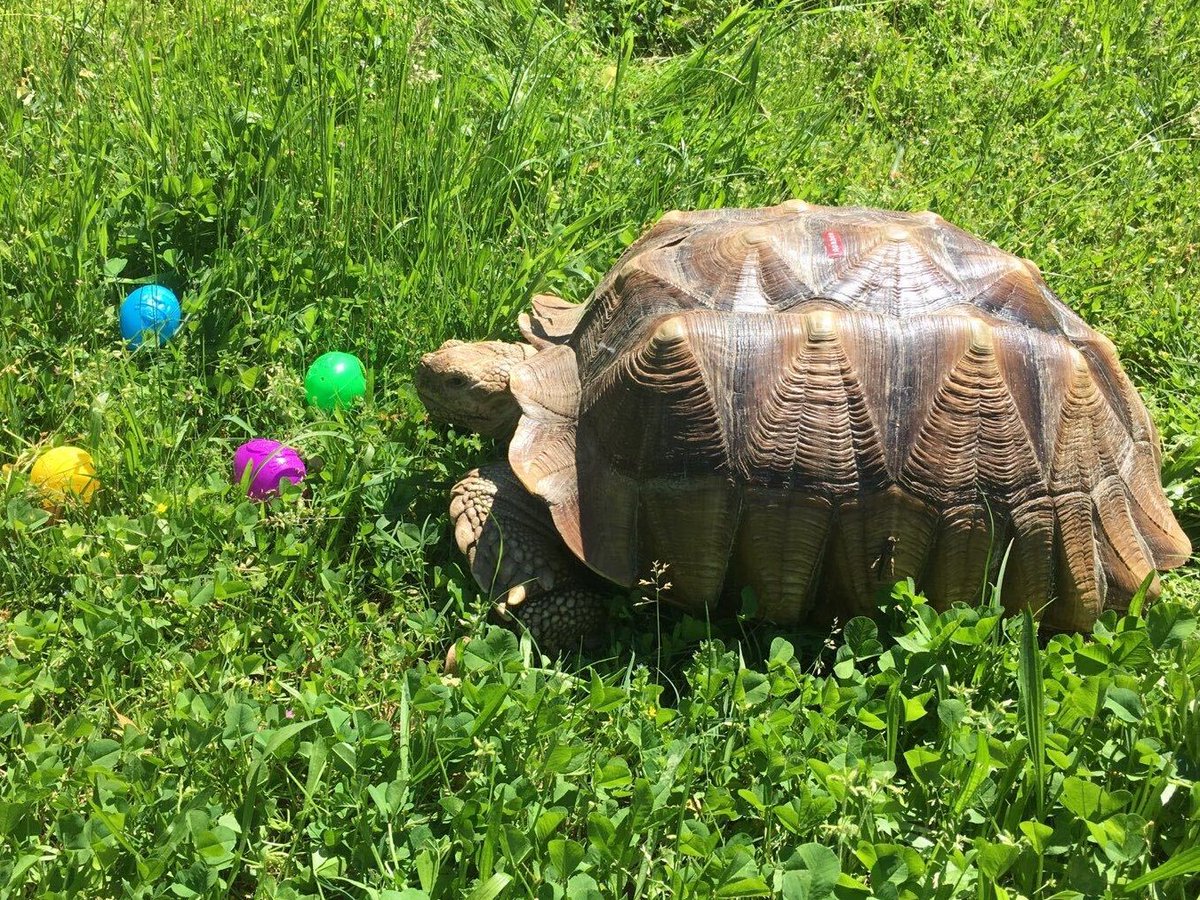 Docker's tweet image. How it started:                  How it&apos;s going: