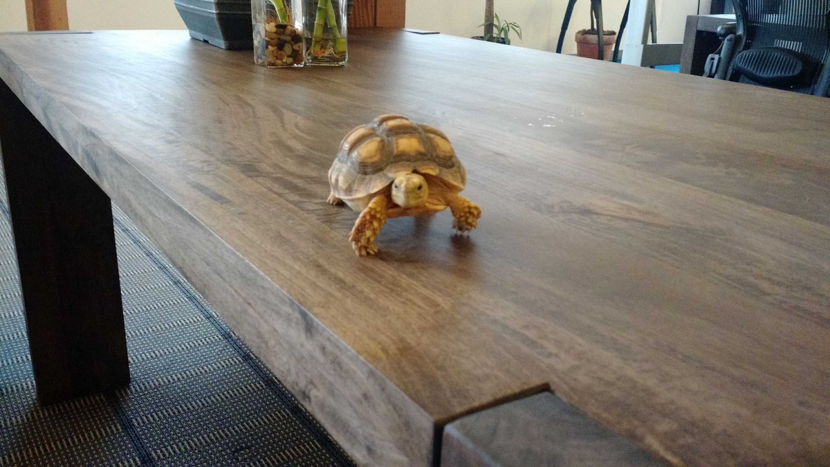 Docker's tweet image. How it started:                  How it&apos;s going: