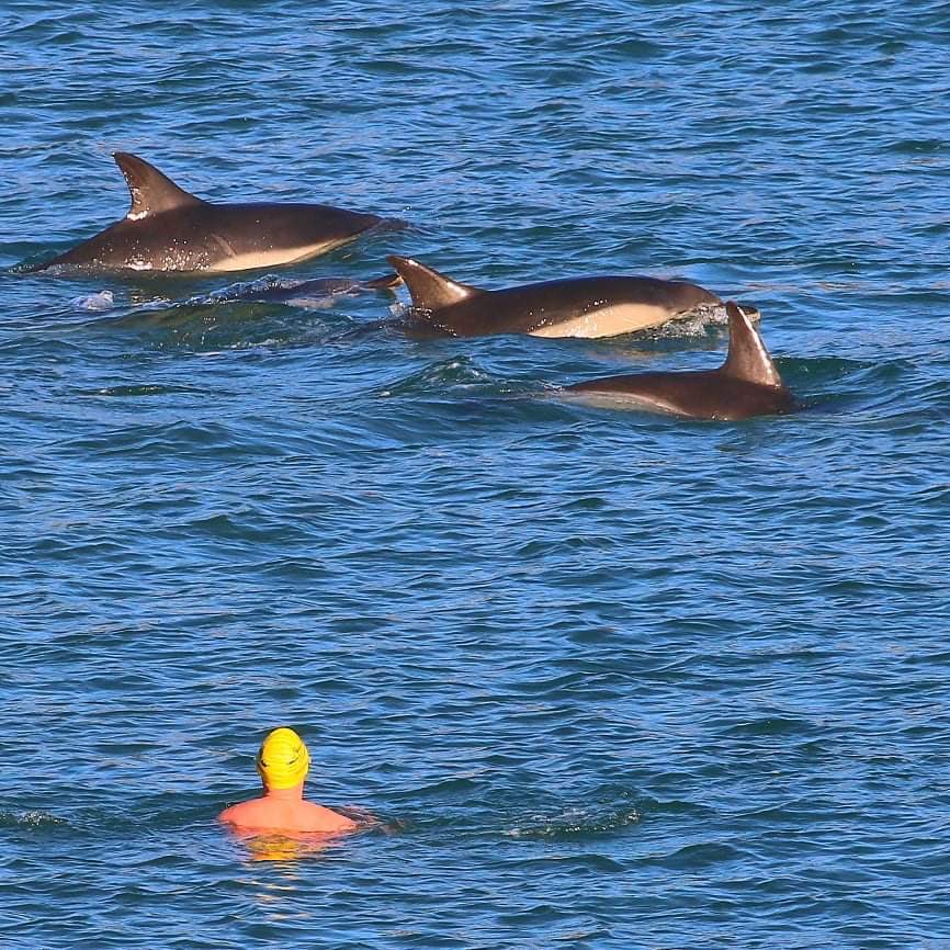 harrycasey9's tweet photo. What an amazing experience I had today captured in this photo by Derek McGreevy in Myrtleville, Cork. @Bunnyconnellan @thelodgebar_ @irishexaminer https://t.co/4lC6y1ovtQ