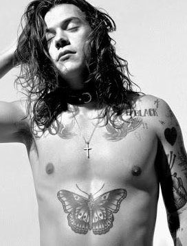 this thread goes for  @twarrieater and for everyone who loves harry’s love handles/stomach 