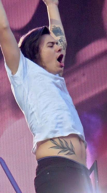 this thread goes for  @twarrieater and for everyone who loves harry’s love handles/stomach 