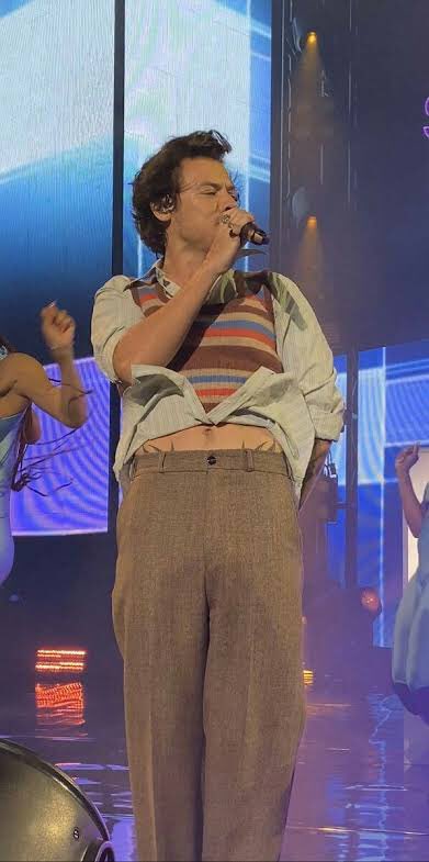 this thread goes for  @twarrieater and for everyone who loves harry’s love handles/stomach 