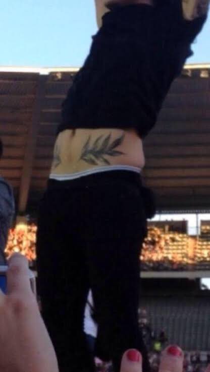 this thread goes for  @twarrieater and for everyone who loves harry’s love handles/stomach 