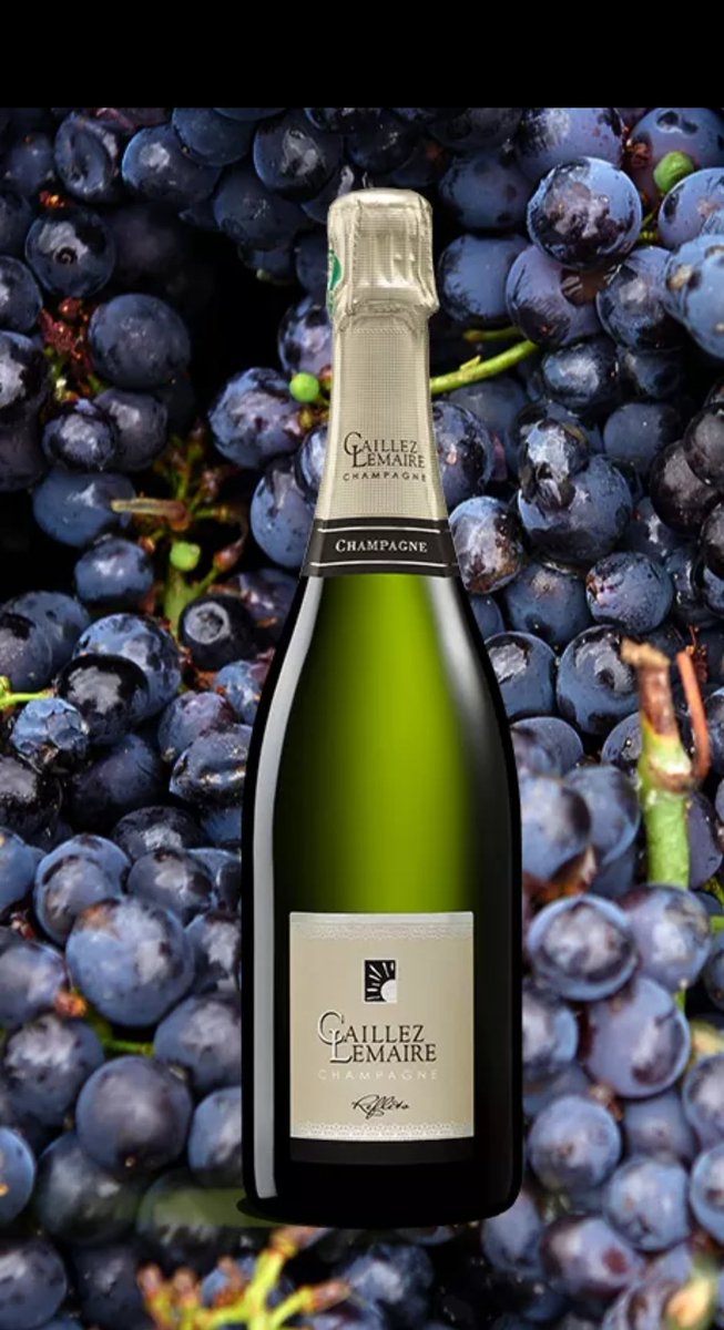 Également à l'honneur dans le  Spécial #Champagne <a href="/LePoint/">Le Point</a> : Le   <a href="/ChampCaillezLem/">Champagne Caillez Lemaire</a> et ses 2 #cuvées🍾🍾 Reflets et Éclats #caillezlemaire #extrabrut #damery