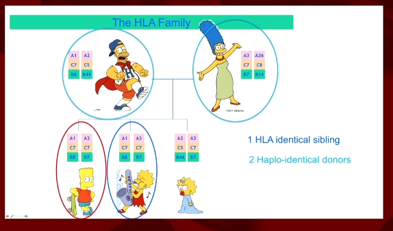 BevSchaeferMD's tweet photo. #HemeHack: excellent teaching tool for non-transplanters (like me) to simply explain concept of HLA matching. #MedEd #ASH20 https://t.co/2GHjCbX4Ff