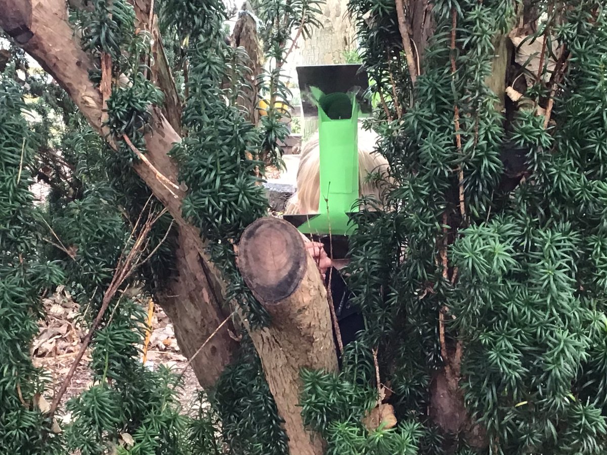 LaxtonJunior's tweet photo. Beware, if you go into the @LaxtonJunior Woodland Garden - there might be spies about! #LJSYearFive made periscopes today, and were very eager to try them out! #WeAreLJS #LJSScience https://t.co/k6yz4IqdFa