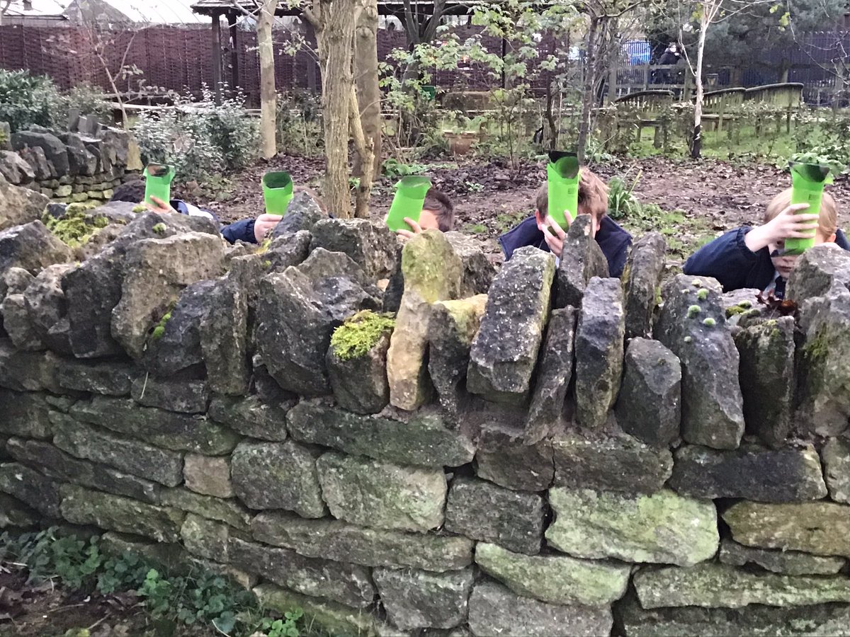 LaxtonJunior's tweet photo. Beware, if you go into the @LaxtonJunior Woodland Garden - there might be spies about! #LJSYearFive made periscopes today, and were very eager to try them out! #WeAreLJS #LJSScience https://t.co/k6yz4IqdFa