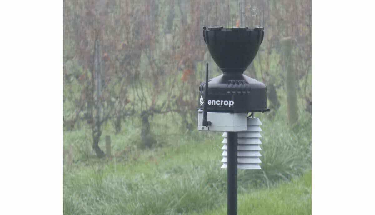 HISTOIRE_DU_VIN's tweet photo. Rully | Viticulture. Des stations météo pour affiner la pratique viticole https://t.co/iDHzEl7bxN https://t.co/jvyO5P0OS1