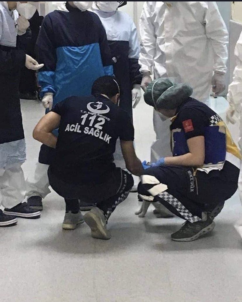 reis25__'s tweet image. En Turquie, la mère a amené son chaton à l'hôpital pour obtenir de l'aide