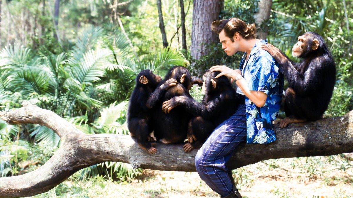temnatv's tweet photo. "Ace Ventura - Um Maluco na África" (1995) 

Terça-feira (08) - 19h20 - Sony 

#TemnaTV #JimCarrey #AceVentura #comedia #comedy #movie #filme #SONY #TV https://t.co/E21hHPQEI9