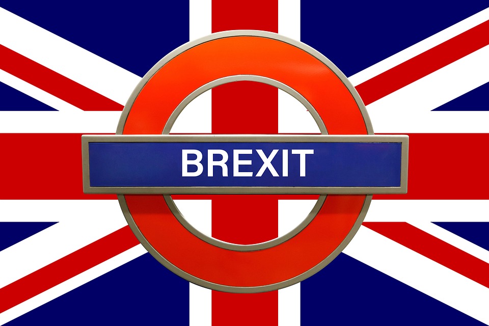 TBernieh's tweet photo. Stiff upper pip #BrexitVote #AntiBrexit #brexit #clarity  #BollocksToBrexit :) https://t.co/h8uZrfPJCo