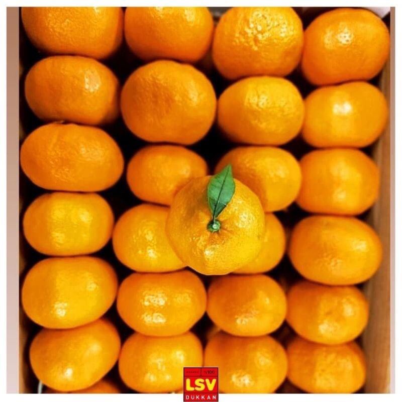 Tüm belediyeler 
Lösemili Çocuklarımız için 
kamu yararına bir miktar 
LÖSEV SATSUMA MANDALİNASI Satın alsa ,
Herkese Tarım ilaç kalıntısız , parafinsiz Doğal gıda dağıtsa ,
Lösemili Çocuklar ücretsiz tedavi olup 
HEPSİ YAŞASA 
İNSANLAR EL ELE TUTUŞSA ve 
HAYAT BAYRAM OLSA