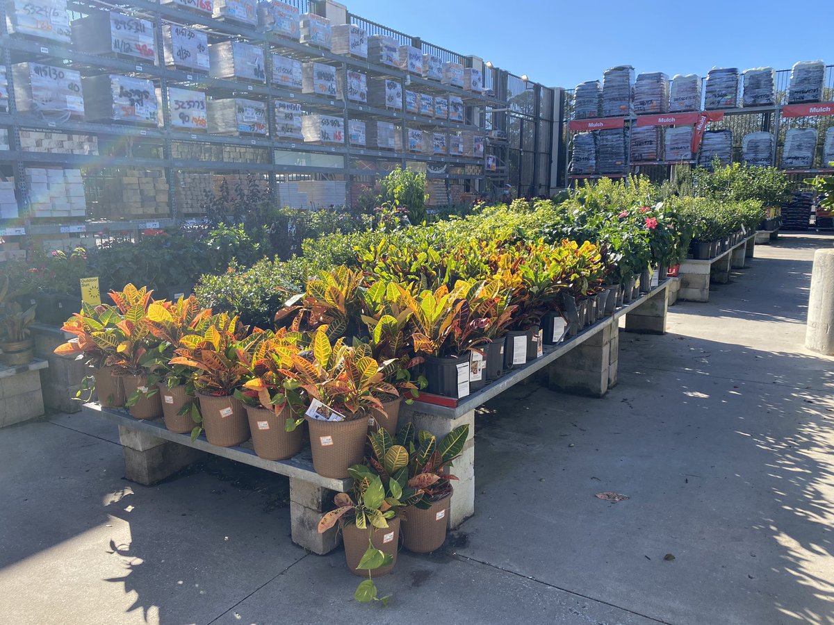 GregWilley4's tweet photo. HD 6335 Port Orange Florida, Looks good well merchandised https://t.co/Bn9NijvhZj