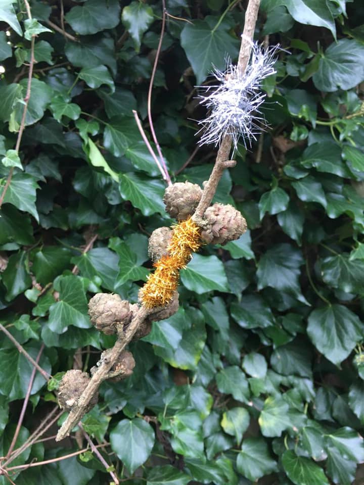 nell_bank's tweet image. Idea no.7 
Next time you go for a walk, find a stick &amp;amp; collect things to decorate it with.  Add a bit of tinsel to make it festive!
#Journeystick #nature #ourdooreducation #walk #winter #craft #Ilkley #Bradford #Yorkshire #decoration #Creative