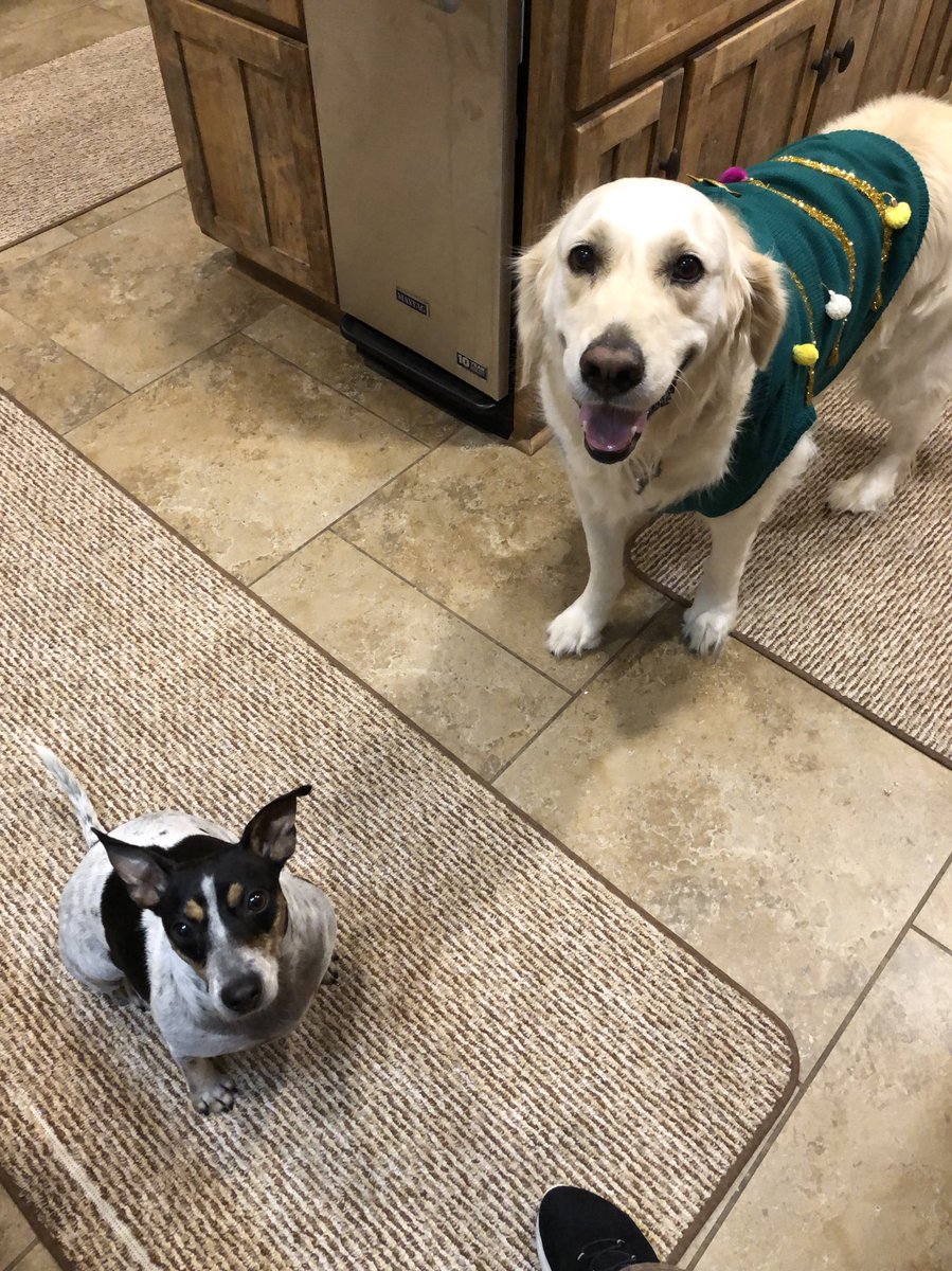 MarshallRTeague's tweet photo. @cookingupfun55 @biogeek7 @MykeMichaels @bdckool ALL too TRUE #DoggieDadsLittleGirl #Stellarizing #The25DaysOfTeaguemas w #friends 🐾 #CountdowntoChristmas https://t.co/5fdU5db458