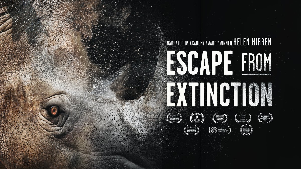 .@AmericanHumane’s inaugural documentary, #EscapeFromExtinction, throws a vitally important spotlight on critical efforts to save millions of #endangeredspecies. Watch it now though @BoulderEnoff Virtual Cinema at Home! bit.ly/3kk3D0Y Follow @EscapExtinction for updates.