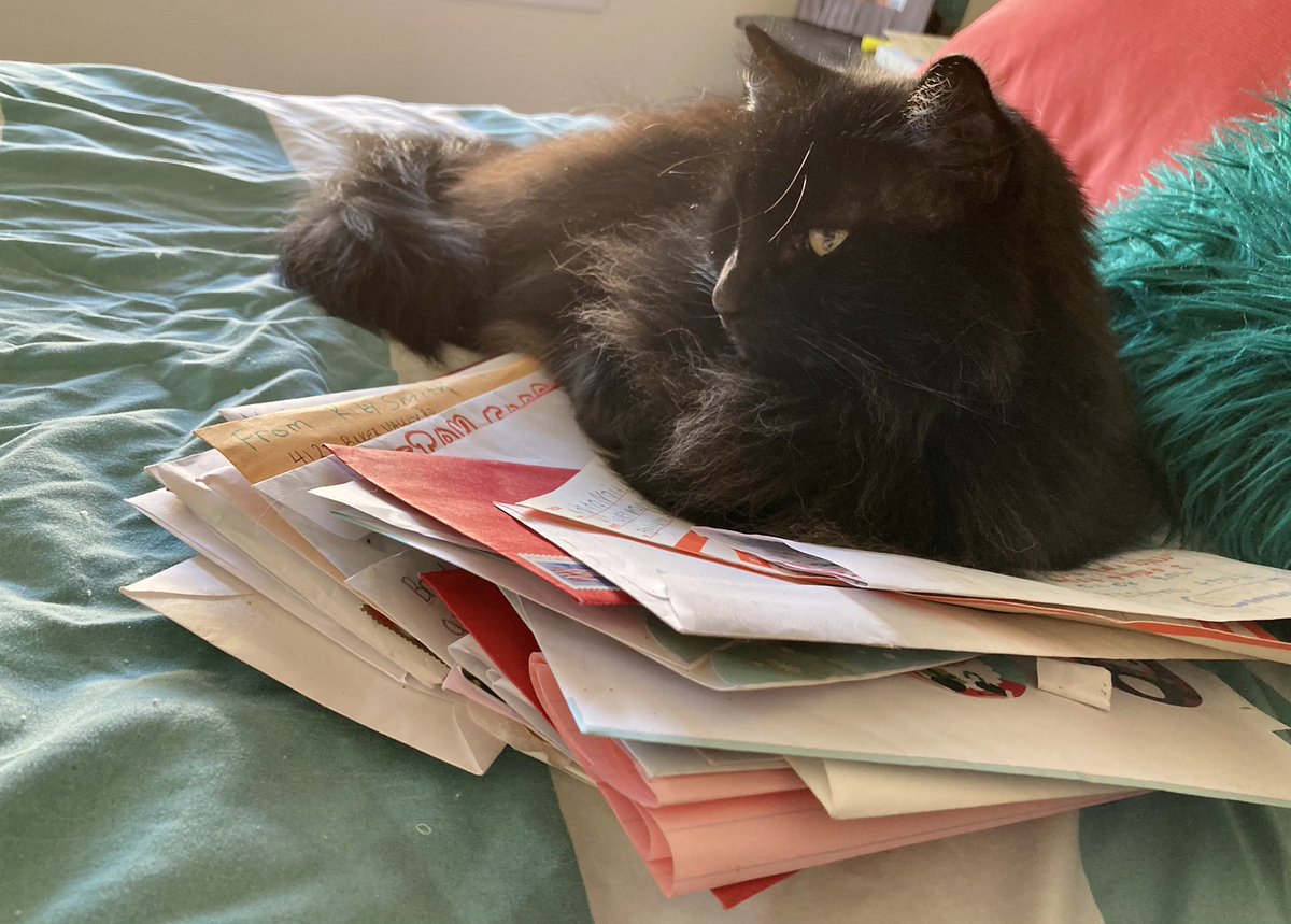 MalloryPanuska's tweet photo. Get up, cat. These letters have to make it to the North Pole. 🎅🏻 https://t.co/41WnGtsefw