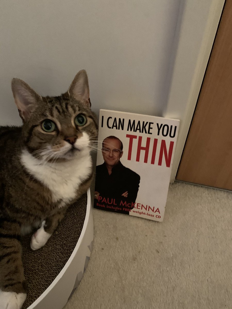 Tino is going to do some research during Christmas 🎄 .  How to lose weight🥬🥒🌽🥕🥦🥑🌶 hahaha #HappyHolidays #CatsOfTwitter #Cats  #Tabbycat #catlovers #Christmas #keepsafe