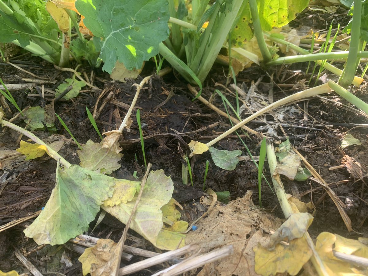 NotteauV's tweet photo. Une simple photo, de nombreuses informations…
Un thread pour vous expliquer tout ce que l’on peut déduire en quelques secondes en observant cette photo.
Déroulez 🔽 ;) @blondeau_anne #btsapv #FrAgTw https://t.co/gAZ9A4pPIf