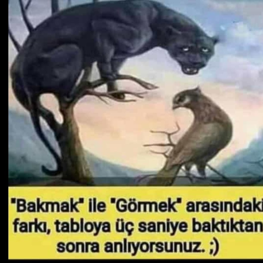 tuzlukurabiyem1's tweet image. Silivride IşkenceVar 
Bazı şeyleri görmek lazım sadece bakmak değil... #htkb