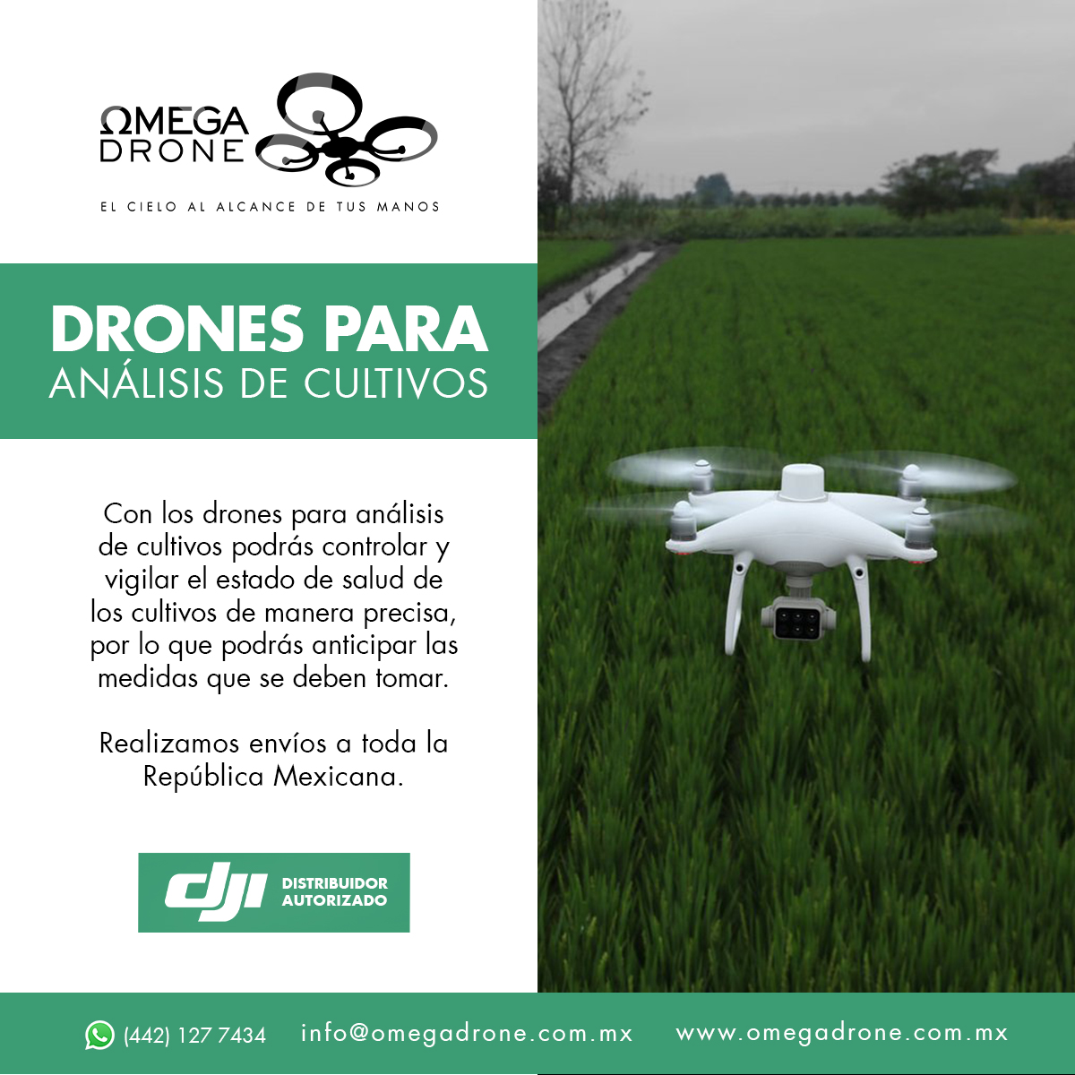 OmegaDrone7's tweet photo. Los mejores drones para análisis de cultivos los encuentras solo en Omega Drone.

Controlar y vigilar el estado de salud de las plantas de manera precisa y anticipa las medidas que se deben tomar en el campo.

https://t.co/e5SrltYm3m https://t.co/XIwHeSieFY