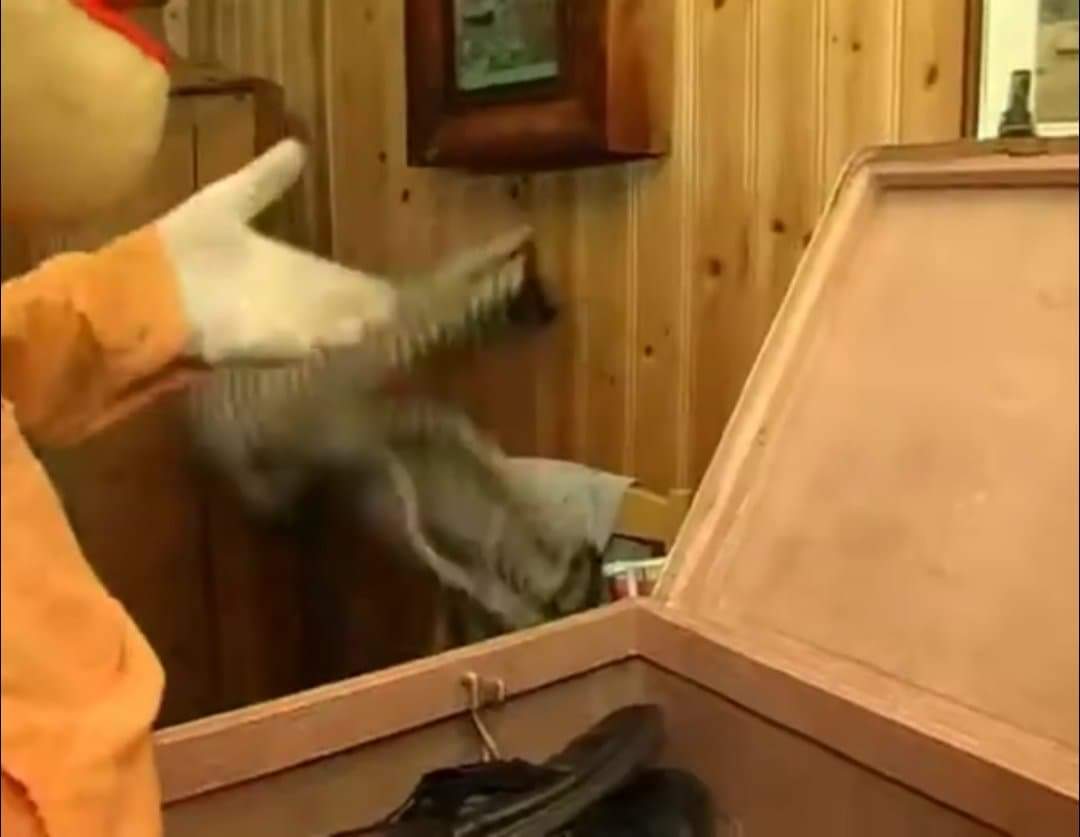 Har merket meg at det er litt lite memes på twitter, så jeg tenkte jeg kunne ta en for laget <a href="/schultz_kristin/">Kristin Schultz</a> #børremiims