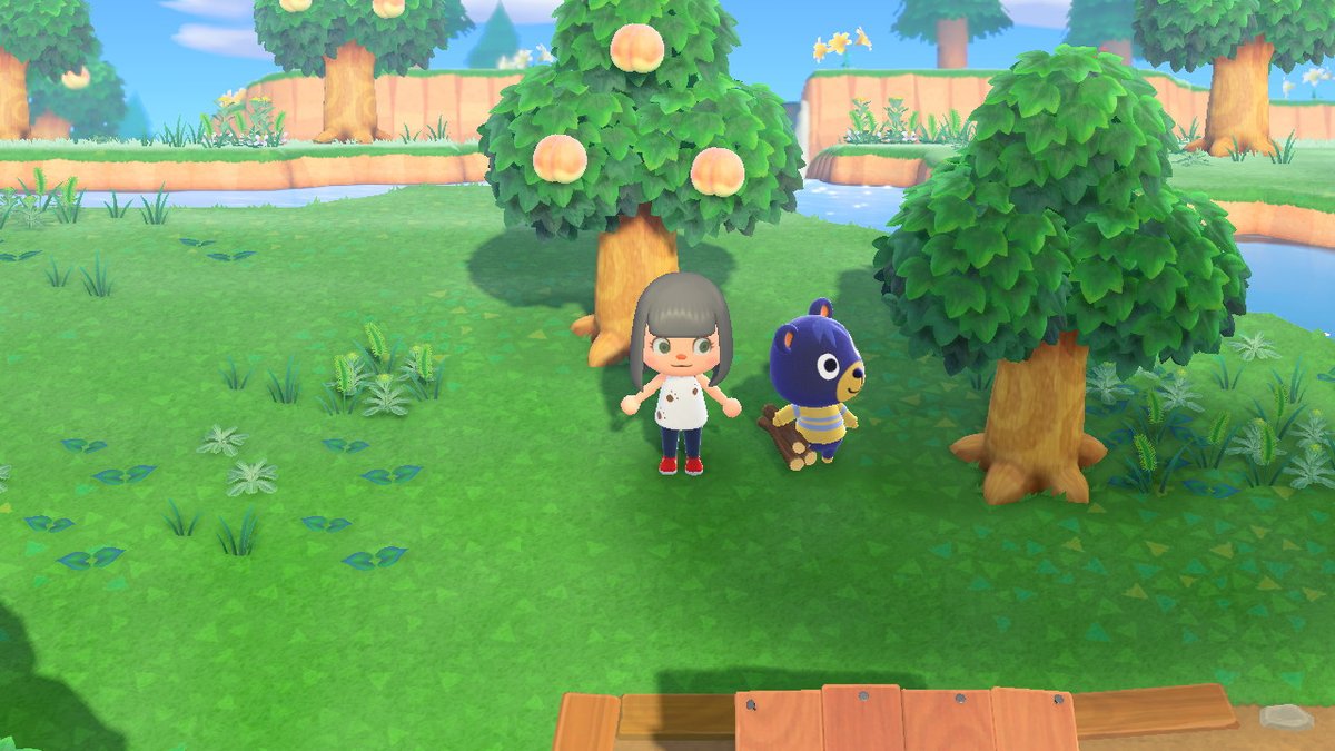 PDF_ROCKYA's tweet photo. #动物森友会 #AnimalCrossing #ACNH #NintendoSwitch https://t.co/hctciMkRj8