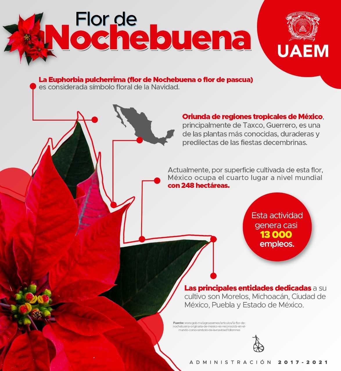 UAEMéx on Twitter: UAEMéx on Twitter:
