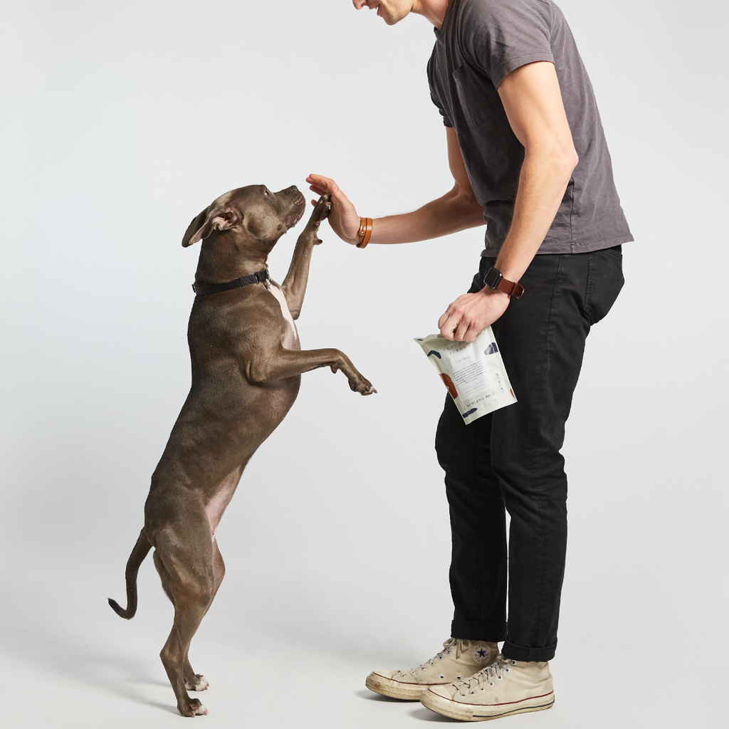 High five for high quality ingredients! 🐾 
Every Fetching Fields bite is made with powerful plant based, human-grade, and certified organic ingredients.  Pure pawfection! 🌱