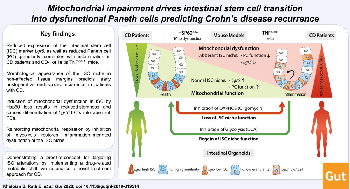 Gut Journal tweet media