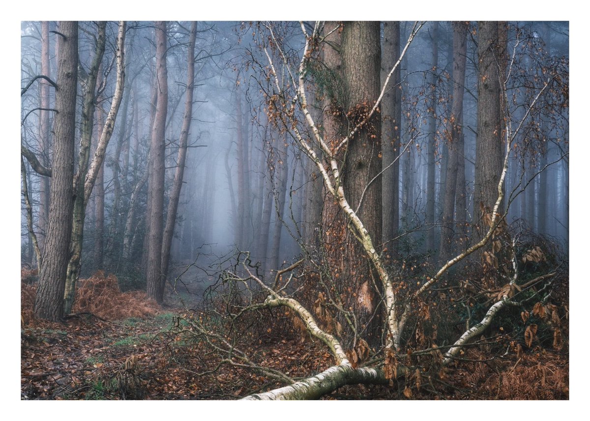 Congratulations to Andy <a href="/perturePriority/">Andy Parslow</a>  ! This weeks #Sharemondays2020  winner! 🙌 Some stunning entries this week but this one stood out to me!