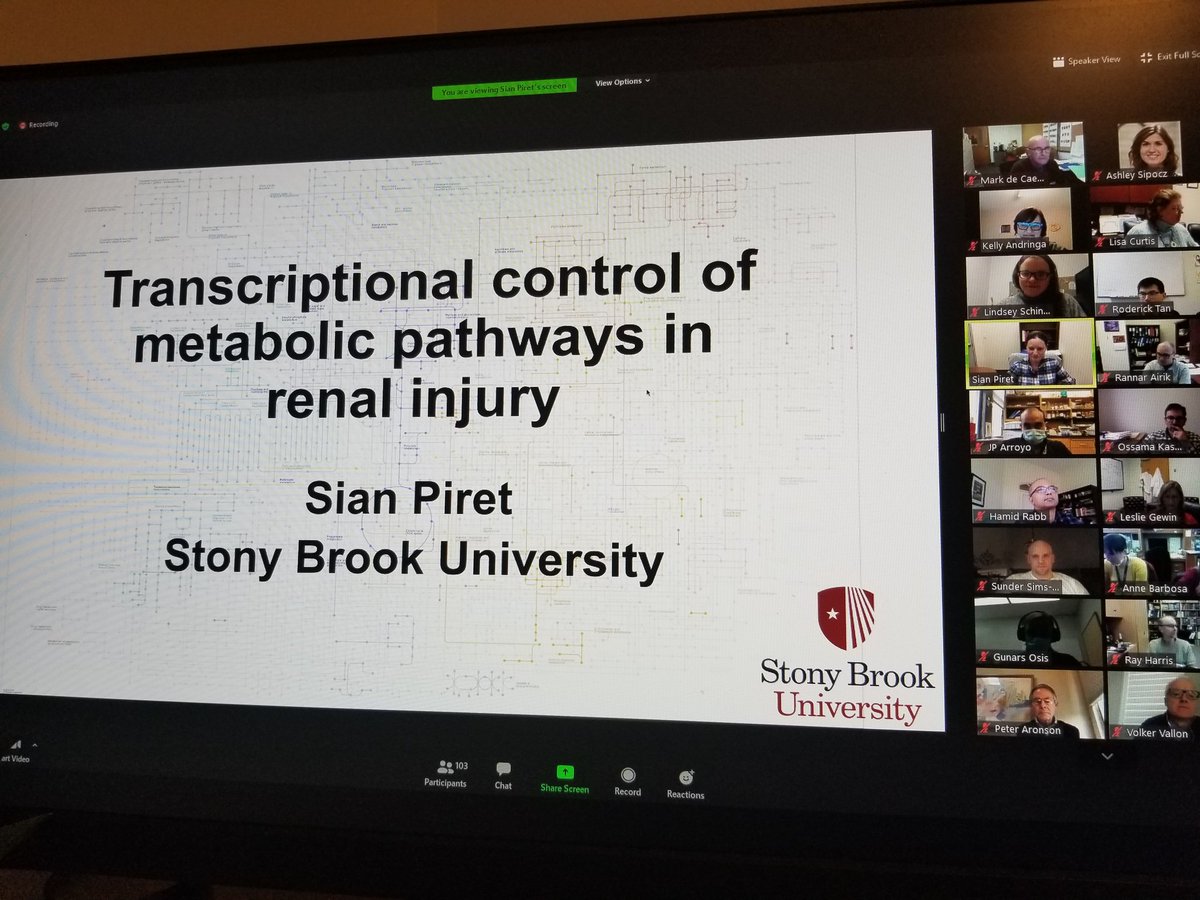 NU_Nephrology's tweet photo. Incredible National O'Brien Centers seminar today with @SianPiret from @sbudeptofmed hosted this month by @UAB_NRTC! 

Check out upcoming topics and  speakers at  https://t.co/qnhYKbymzg

#NOCKS #OBrienAKI https://t.co/G6EXNzPoKk